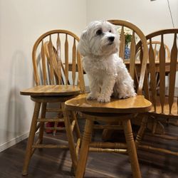 Barstools