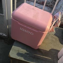 Igloo Cooler 