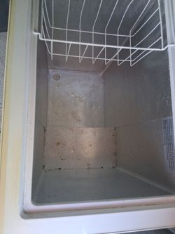 Freezer [ Insignia ]