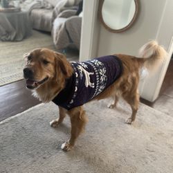 Winter Dog Sweater Blue