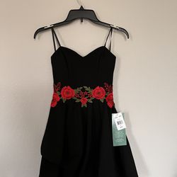 Black Embroidered Mini Dress