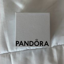 Pandora Eternity Channel Ring