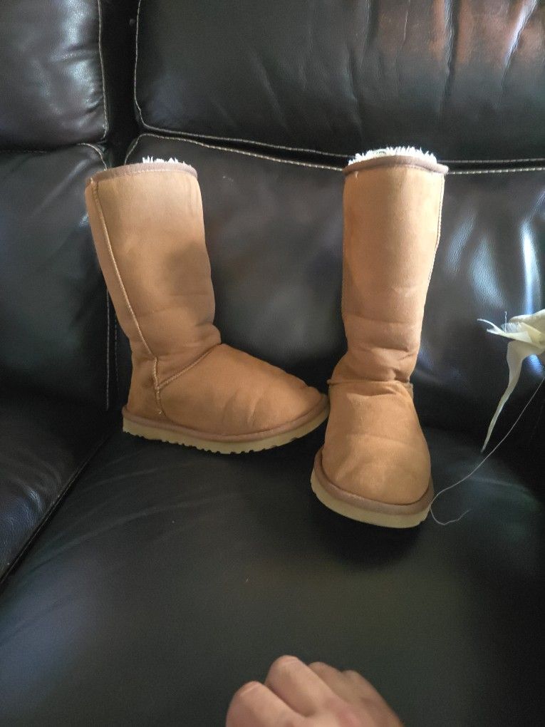 Ugg Boots Deluxe Classic Tall