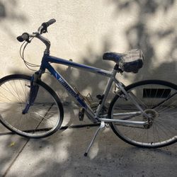 Adult Bike 
