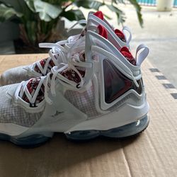 Size 11 Le Bron Nike Stride For Greatness!!