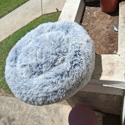 Ola  Phum   Dogs  Beds