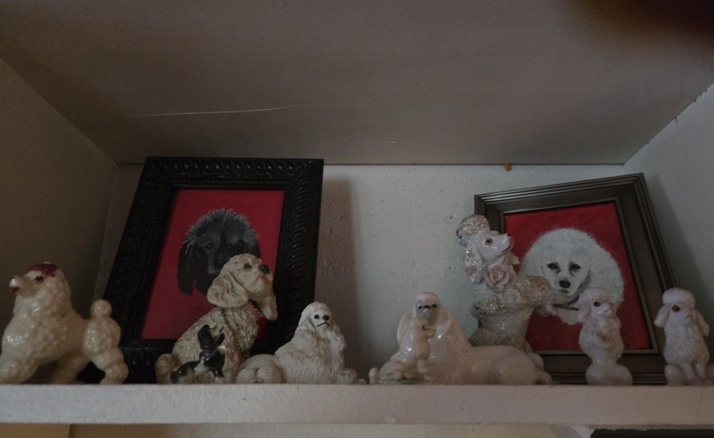 Poodle Figurine Collection