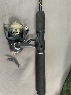 Fishing rod and reel