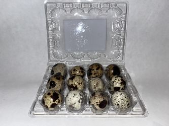 Quail Eggs And More