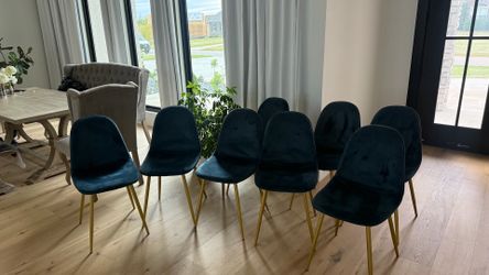 Copley Velvet Dining Chair Blue/Brass