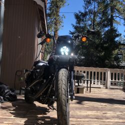 2020 Harley Davidson Iron 1200