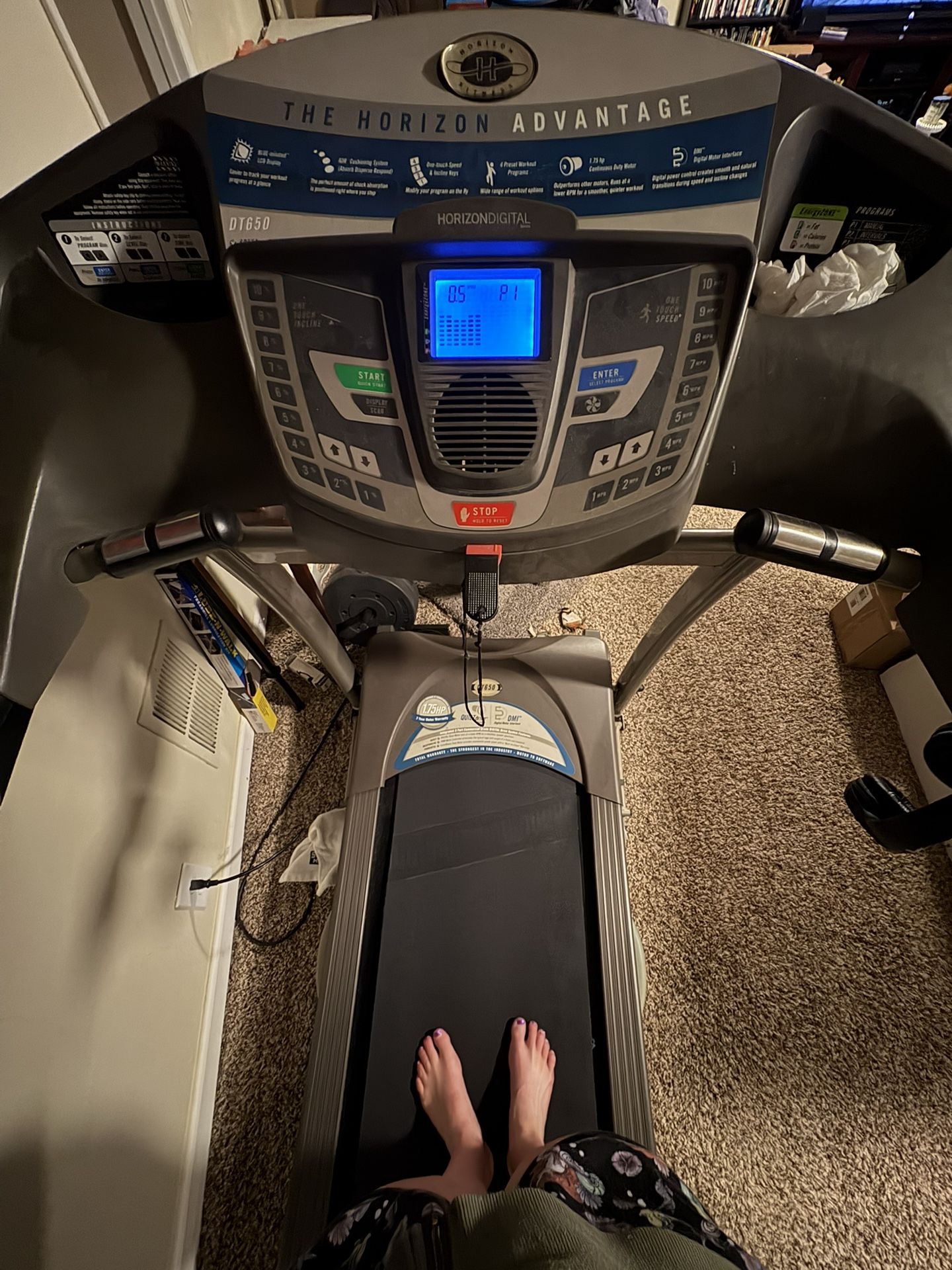 FREE! Horizon DT650 Treadmill