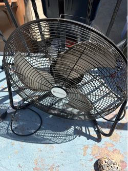 Fan