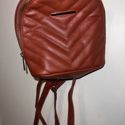 Small Backpack Purse Type Thing