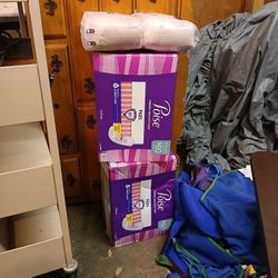 2 Cases Of Poise Pads 120 CT Per Case.