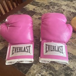 Everlast Boxing Gloves 