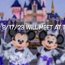 1 Disneyland Ticket 8/17/23 🙏🏽