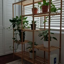 Plant Stand 