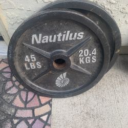 Set Of 45 Lb Plates 