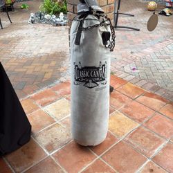 Boxing Bag and gloves . 
