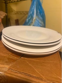 Dinner  plates