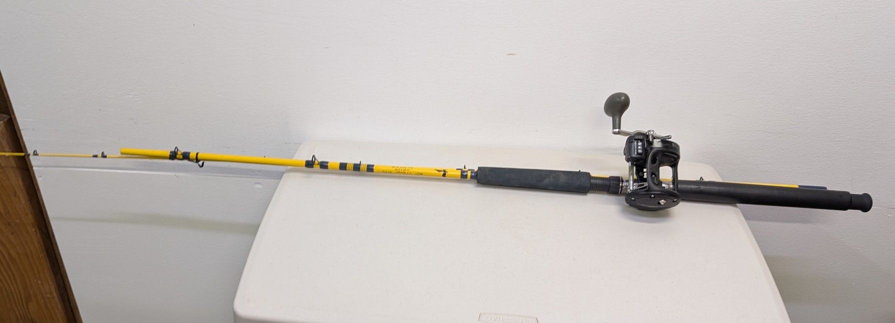 Fishing Pole And Reel