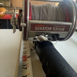 PENN SENATOR SENATOR 113 HLW 2 and Rod