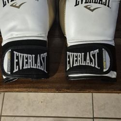 Everlast Boxing Gloves 
