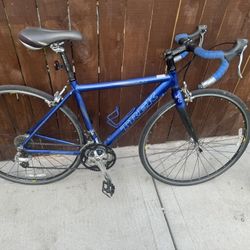 Trek Race Bike