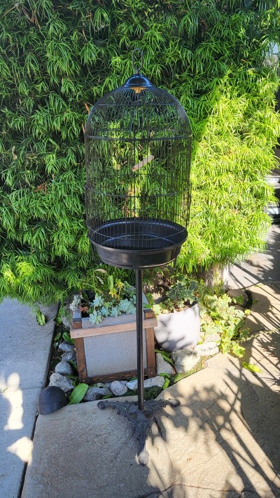 Bird Cage And Stand