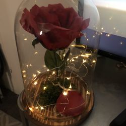 Beauty and the Beast Rose