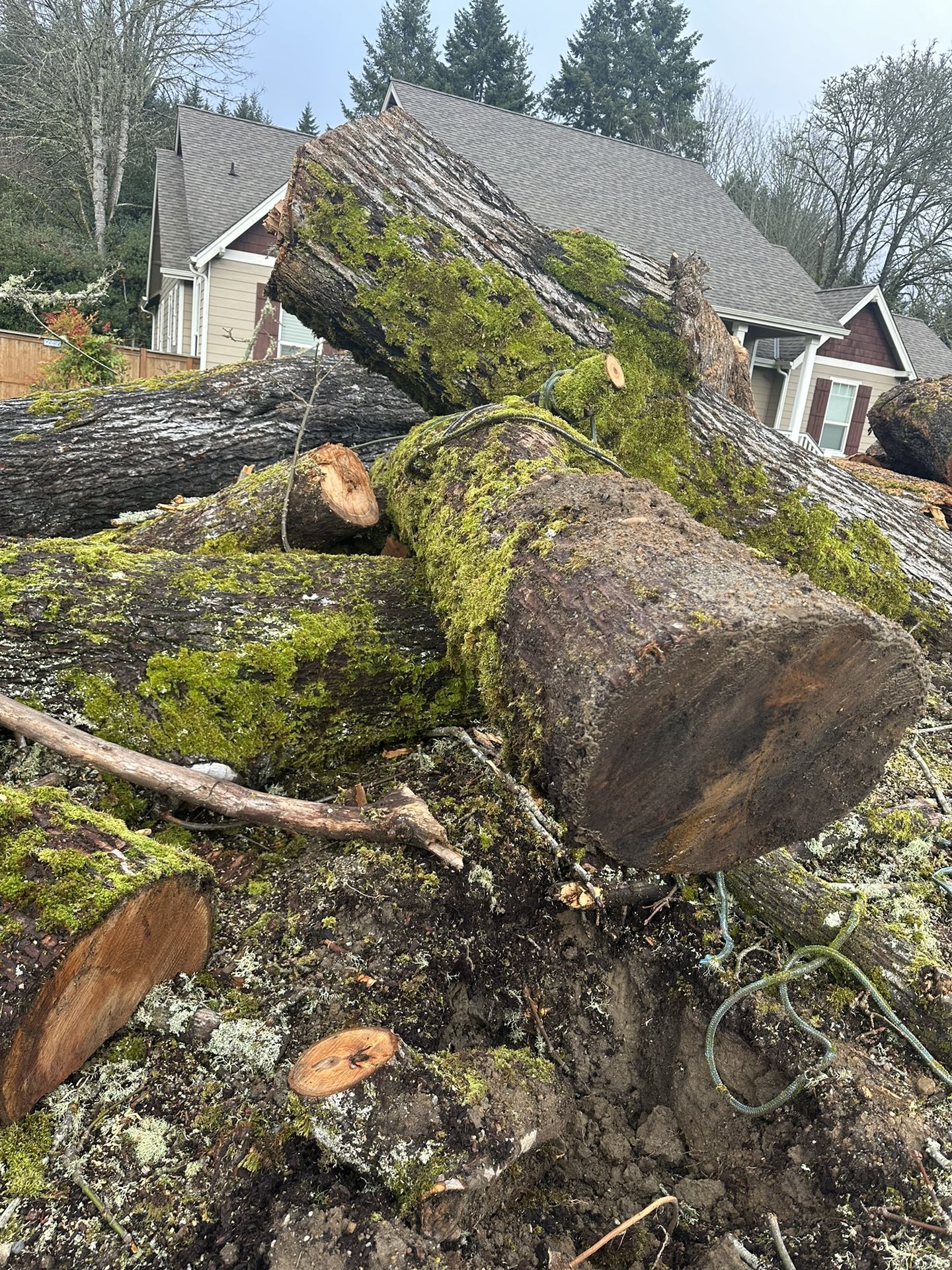 Firewood for Sale in Port Orchard, WA OfferUp