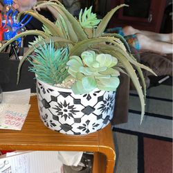 11” X 8” Succulent Artificial 