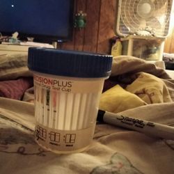 12 Panel Drug Test 