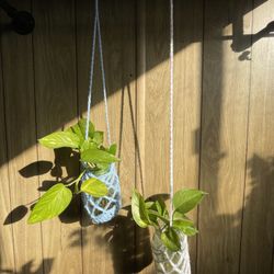 Crochet Plant Hangers 