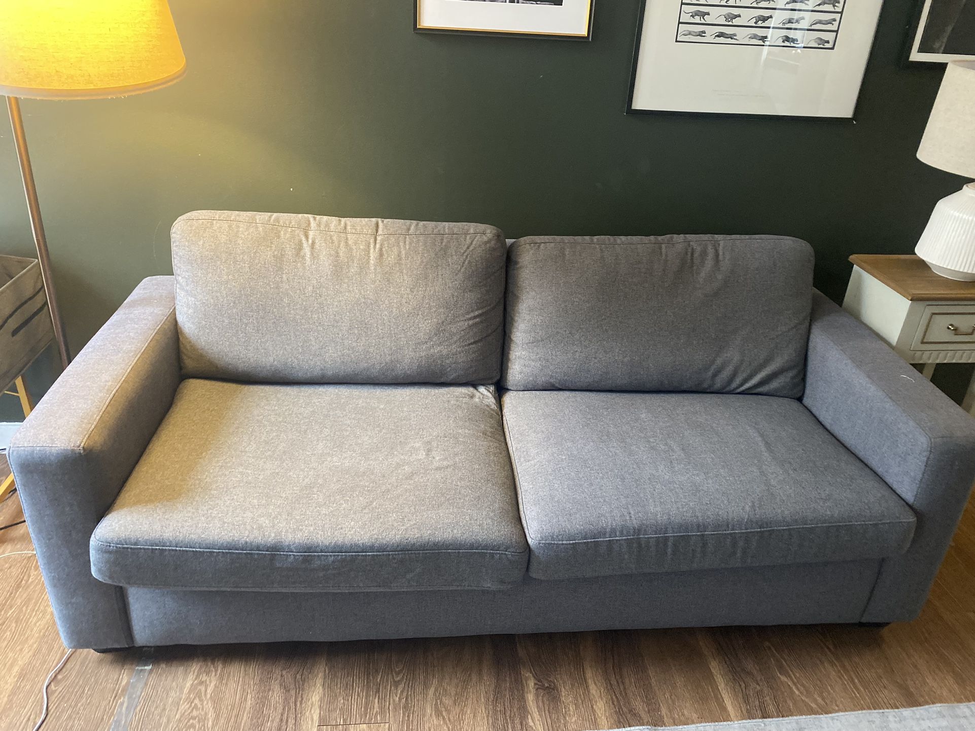 Couch/pull Out Bed