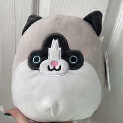 8” Nancy Cat Squishmallow 