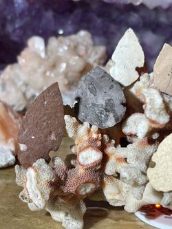 Arrowhead Collection
