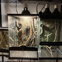 Glass Reptile & Small Animals Enclosures