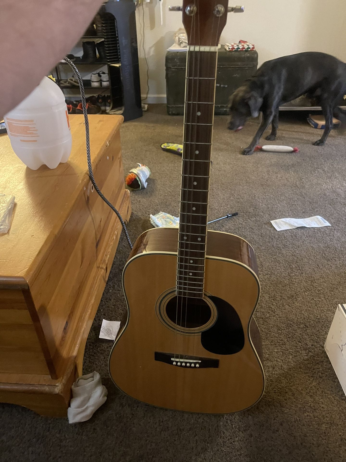 Starcaster By Fender