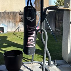 Punching Bag 