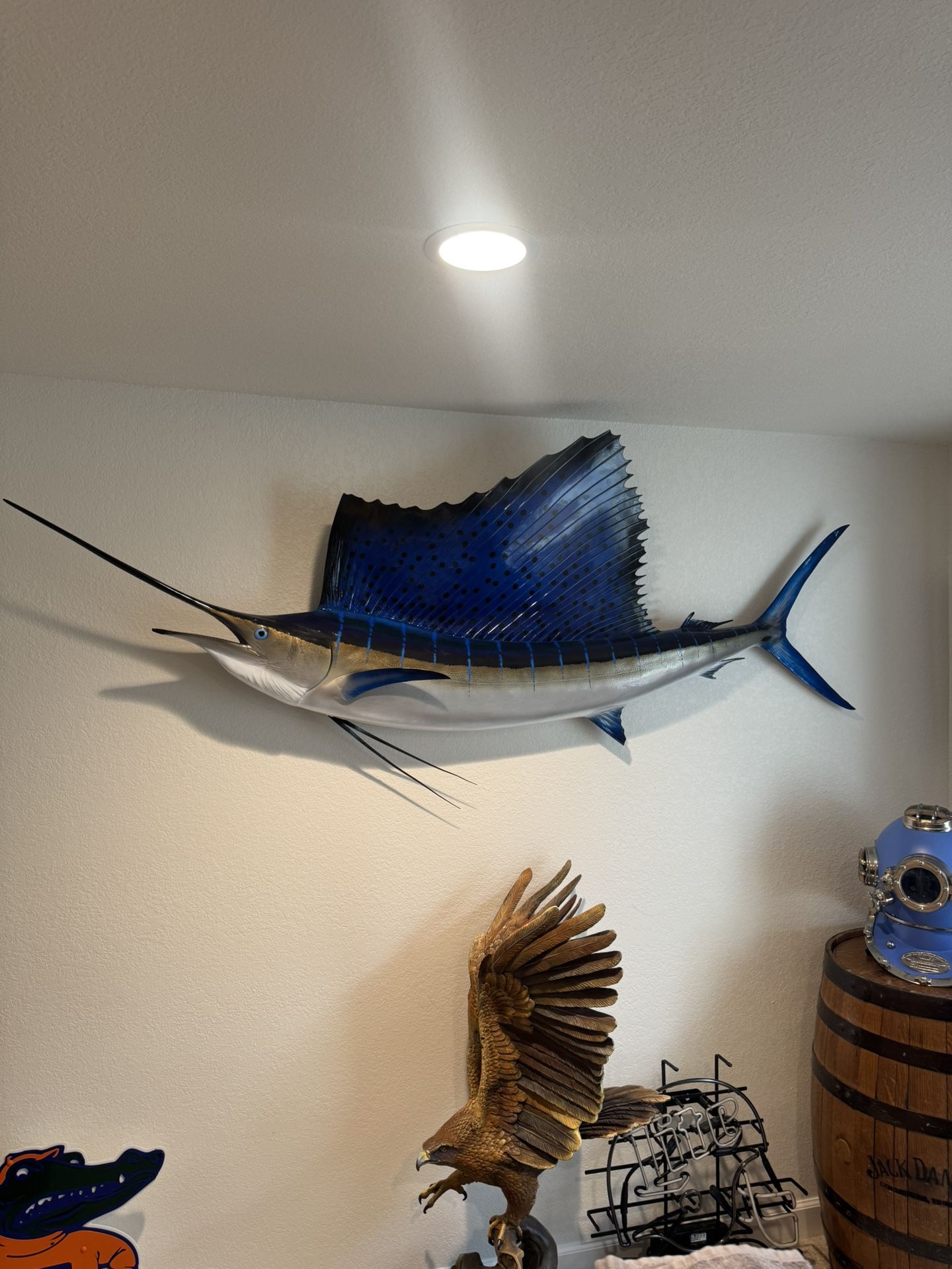 Sailfish