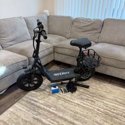 750W Electric Scooter With Seat, Electric Bike