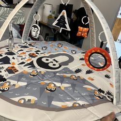 Baby Play Gym