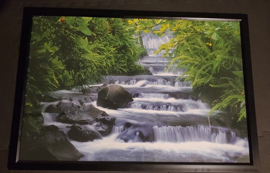 Nature Framed Posters (30"x42")