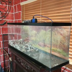50 Gallon Tank For Fish, Turtle, Etc 
