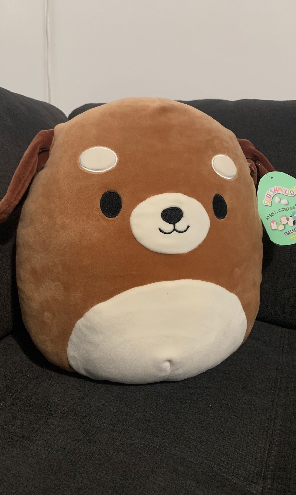 Squishmallows - Sam the Brown Dog