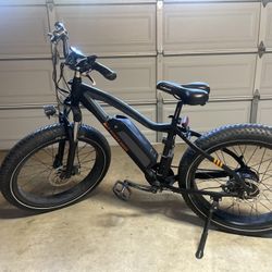 RadRover E-bike 