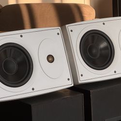 Mirage Indoor/Outdoor Speakers