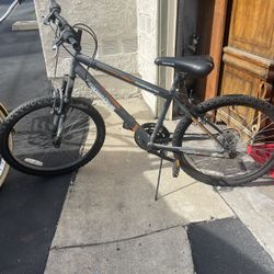 Youth RoadMaster Bike